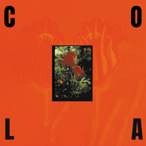 Cola Albatross Album Cover