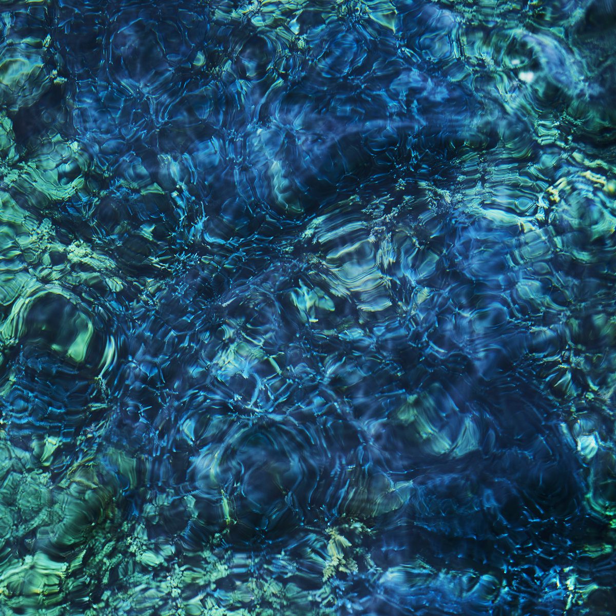 Ichiko Aoba Releases Luminescent Creatures